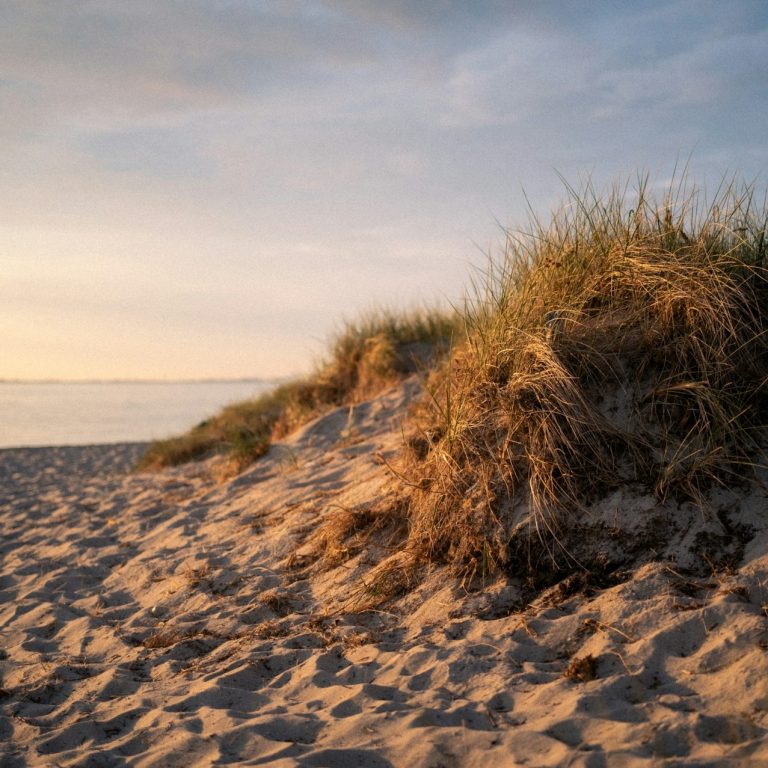 Für Meerliebhaber Ein Strandbesuch sollte auf keinen Fall in Ihrem Urlaub in der Ferienwohnung auf Fehmarn fehlen! Die Insel bietet viele schöne Strände.